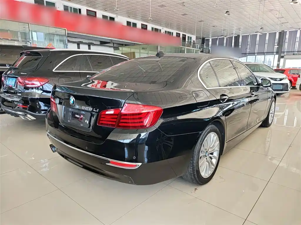 BMW 5 Series 2017 525Li Luxury Design Package фото 5