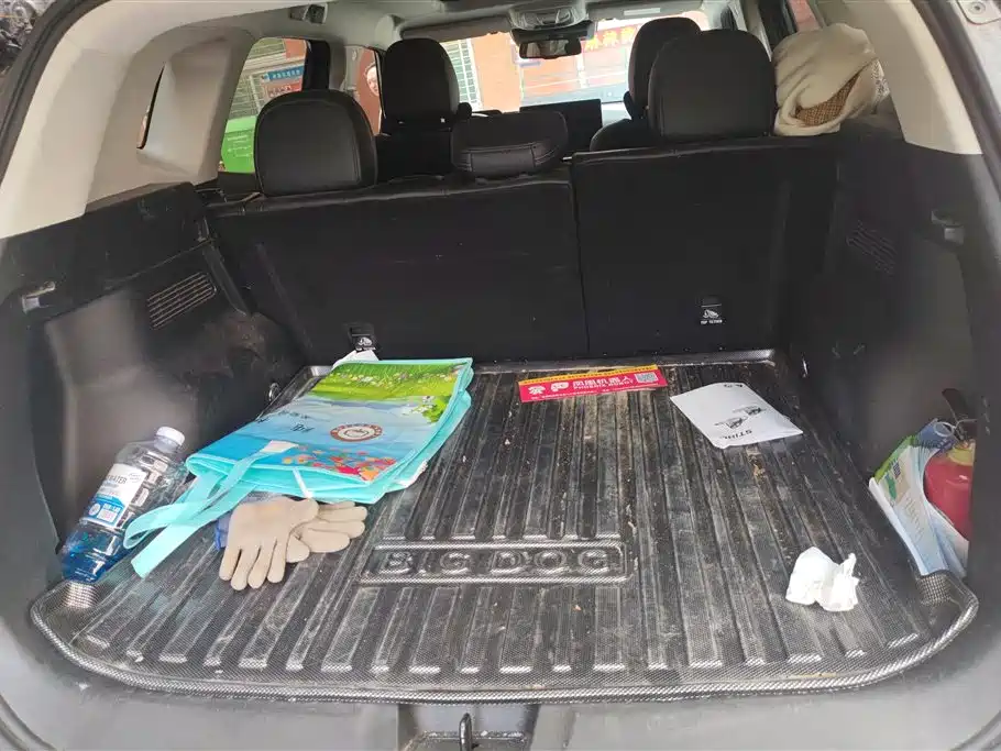 HAVAL SECOND GENERATION BIG DOG NEW ENERGY