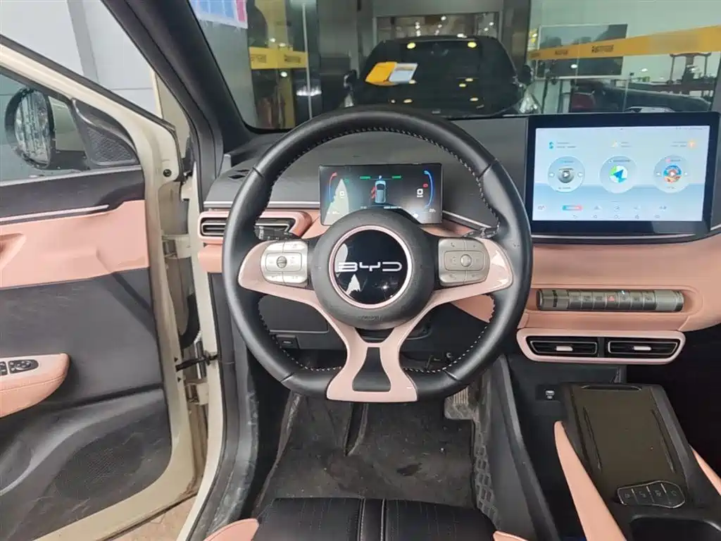 BYD Seagull 2023 Vitality Edition фото 11
