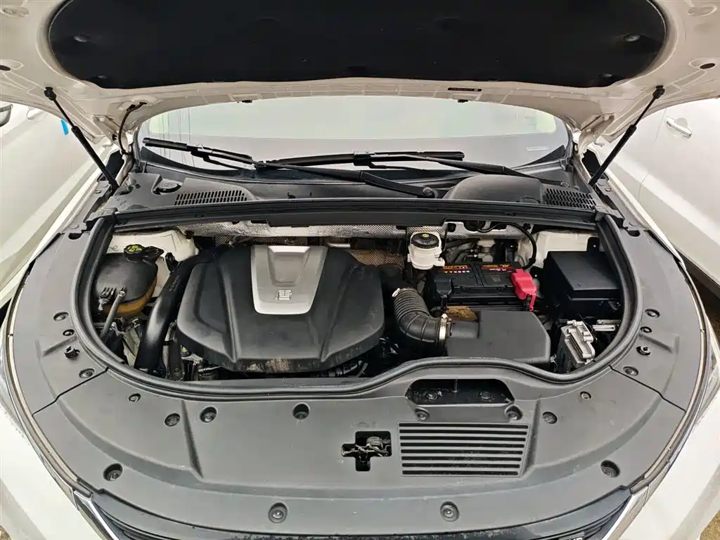 BYD Tang 2018 2.0T Automatic Smart Connection Honor Edition 7-Seater China V фото 20