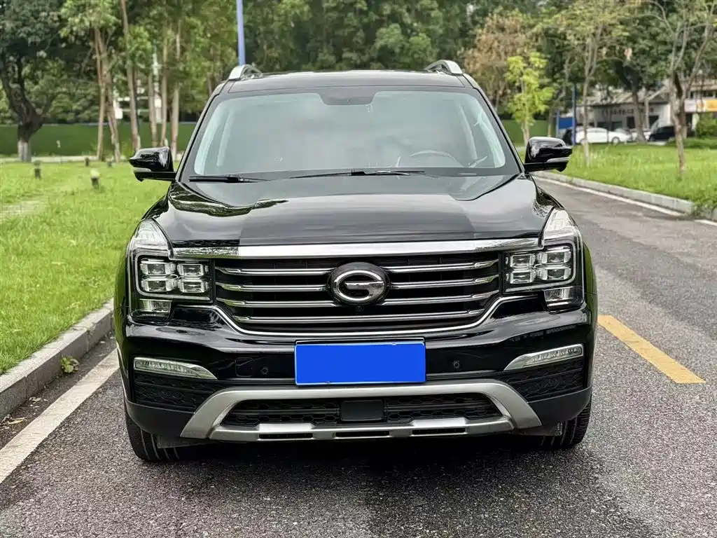 GAC Trumpchi Trumpchi GS8 2017 320T 2WD Luxury Smart Connect (7-seater) фото 2