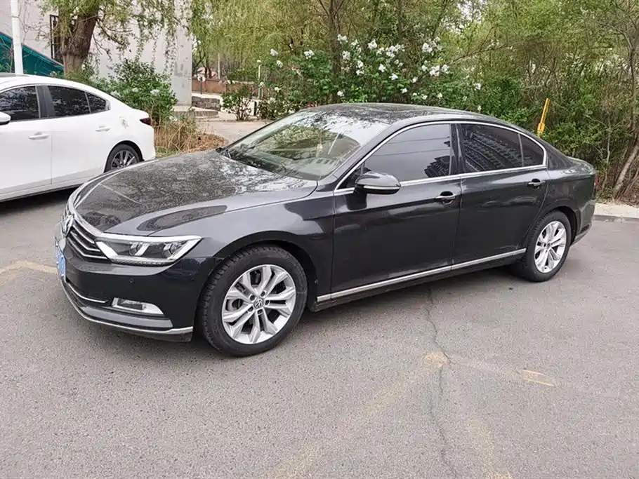 Volkswagen Magotan 2019 330TSI DSG Leading China VI