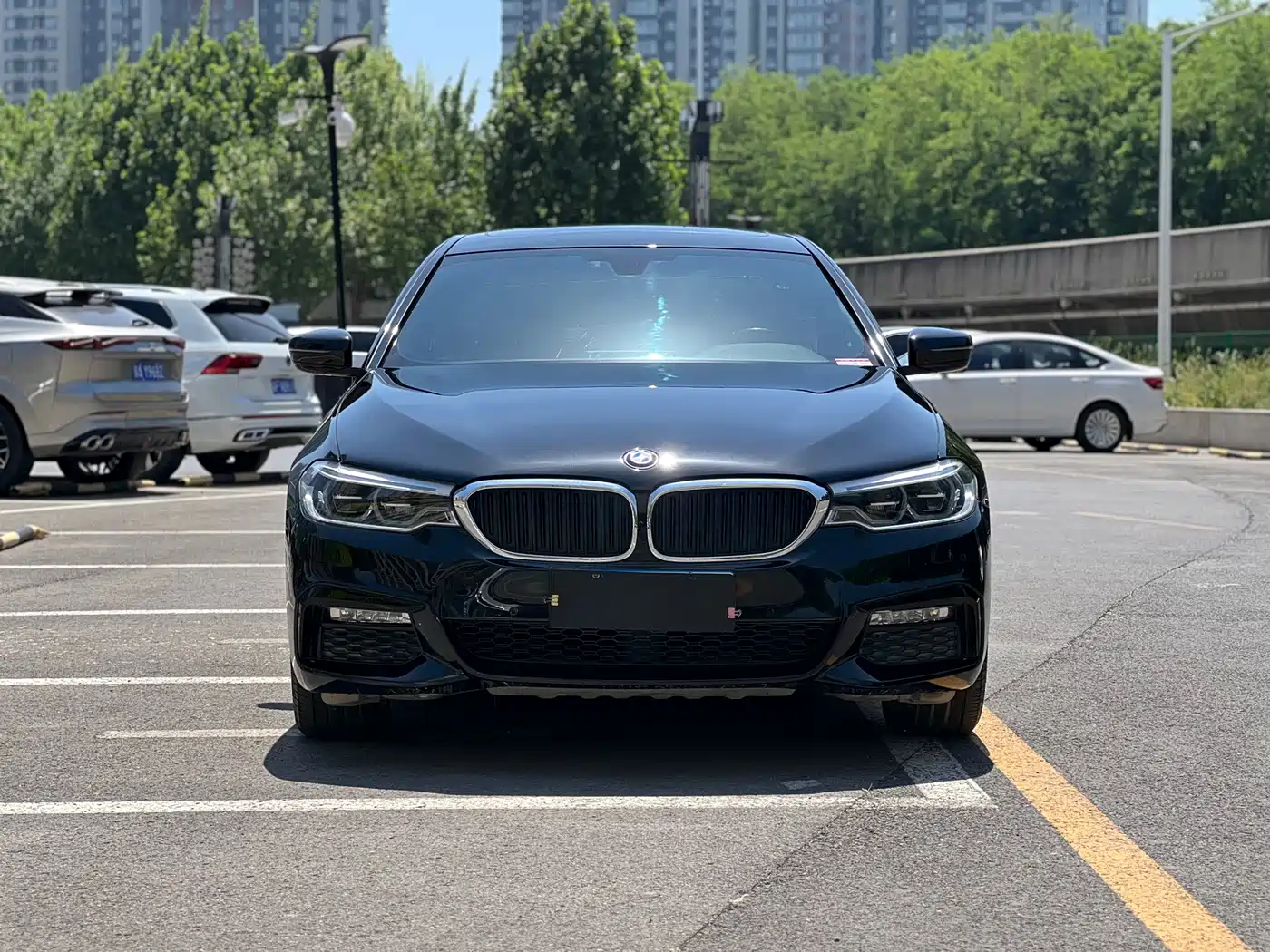 BMW 5 Series 2018 Facelift 530Li Leading M Sport Package фото 2