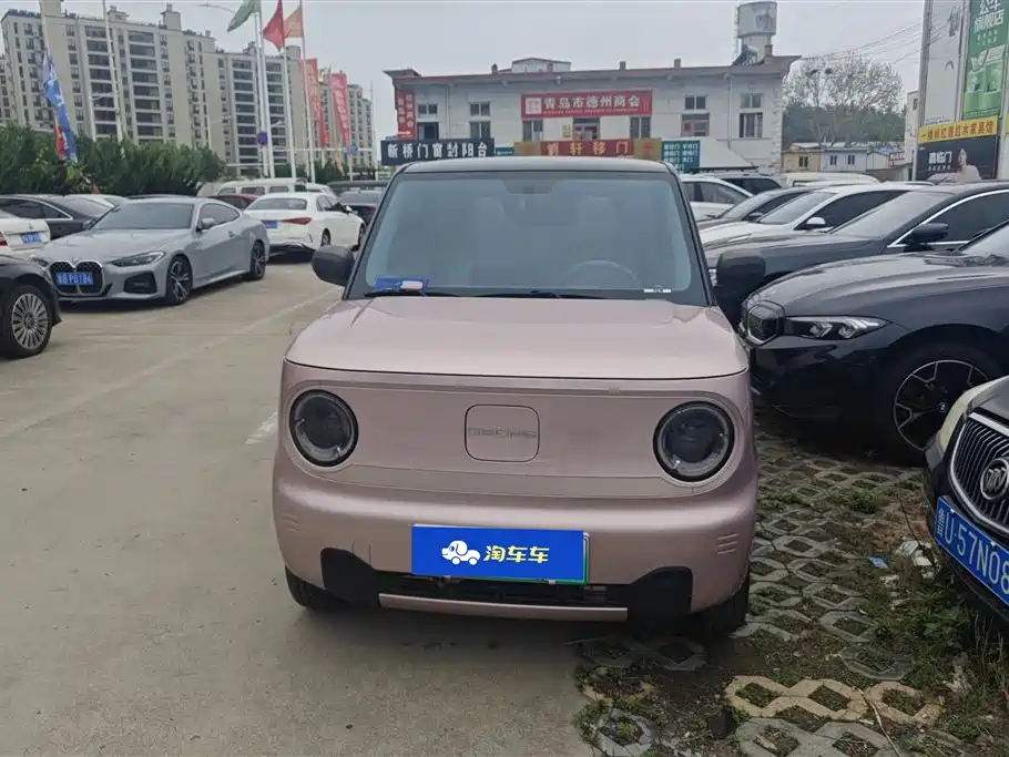 Geely Galaxy Panda 2023 Panda Mini 200km Lively Bear фото 2