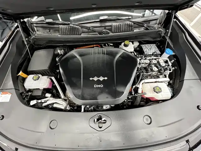 FANG CHENG BAO LEOPARD 8