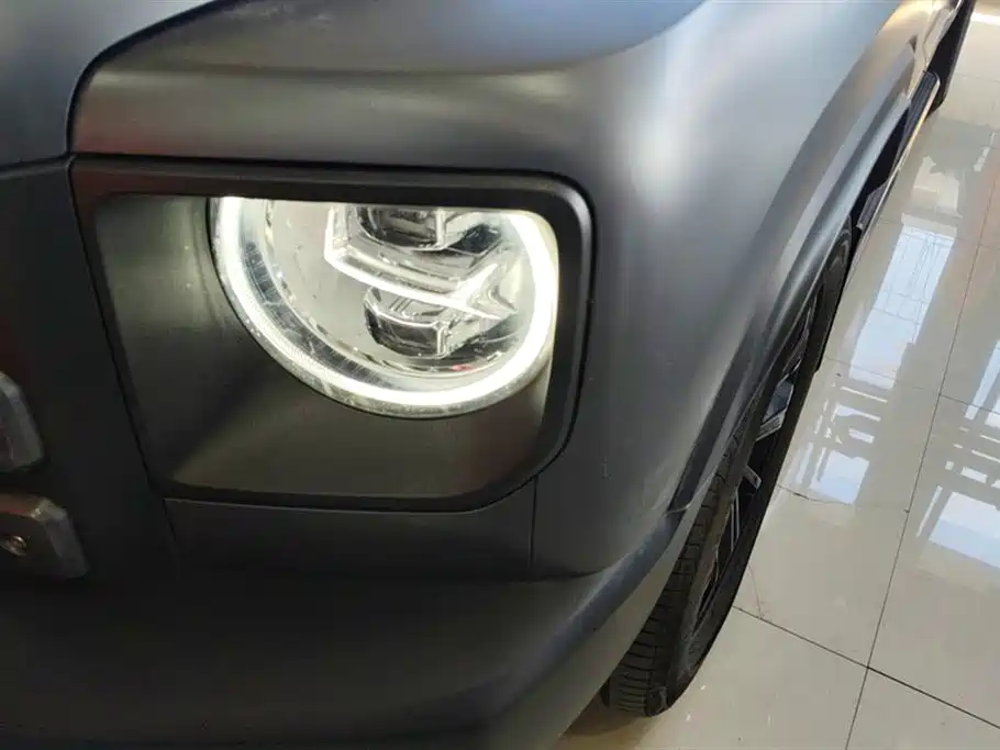 HAVAL RAPTORS NEW ENERGY