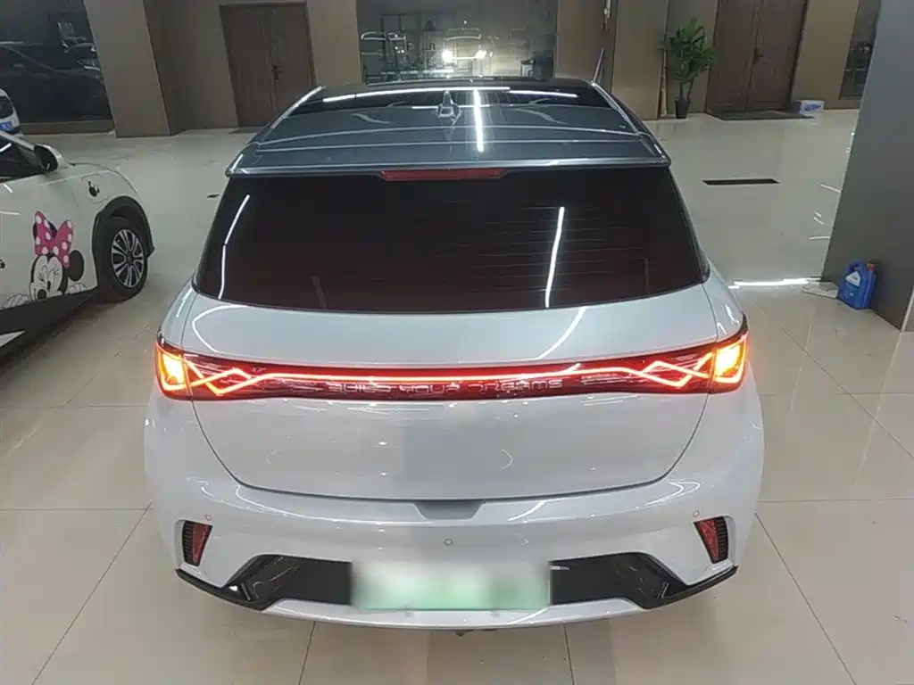 BYD Dolphin 2021 Model 405km Fashion Edition фото 6