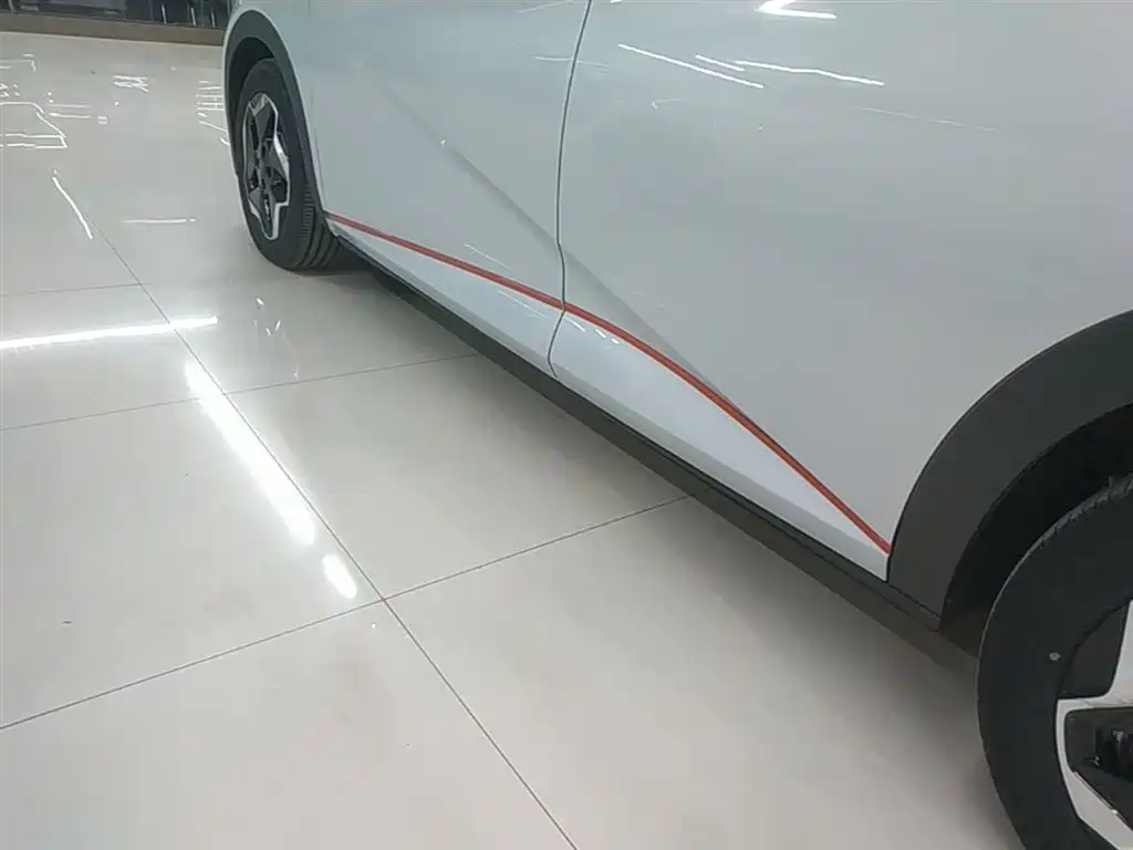 BYD Dolphin 2021 Model 405km Fashion Edition фото 22