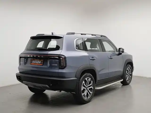 Haval Big Dog 2024 1.5T DCT Border Collie Edition — фото 2