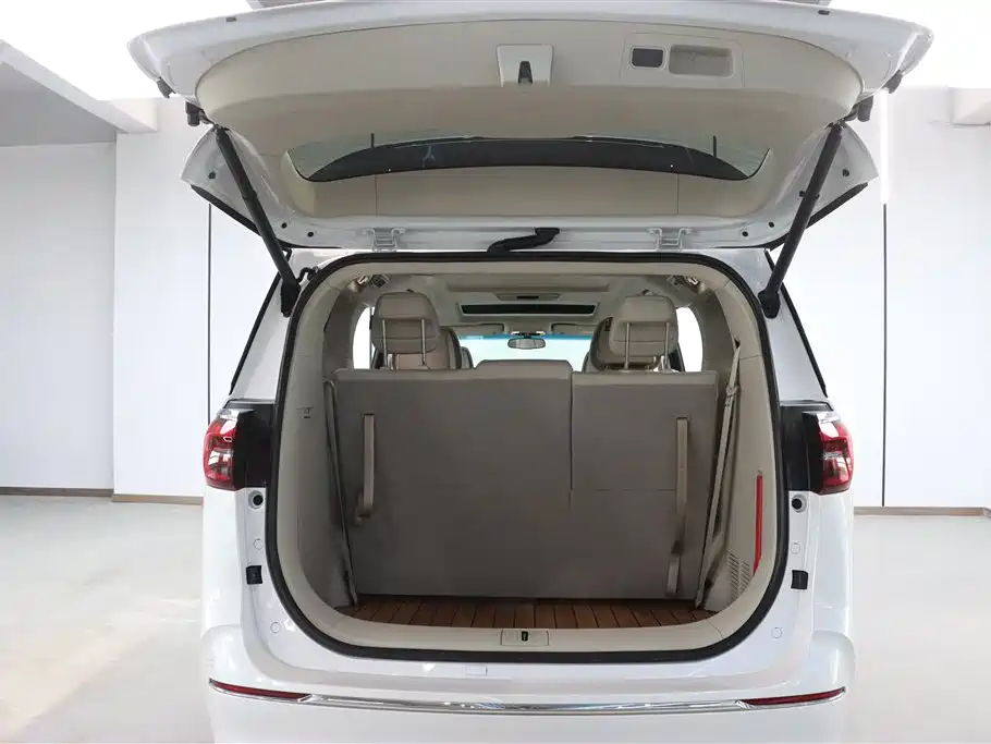 Buick GL8 2022 ES Landmark 653T Comfort фото 29