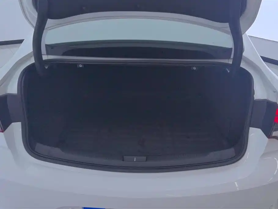 Buick Regal 2020 GS 28T Elite фото 4