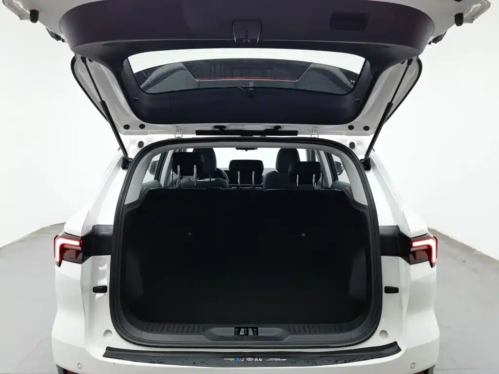 Ford Lingrui 2022 2022 EcoBoost 170 Platinum