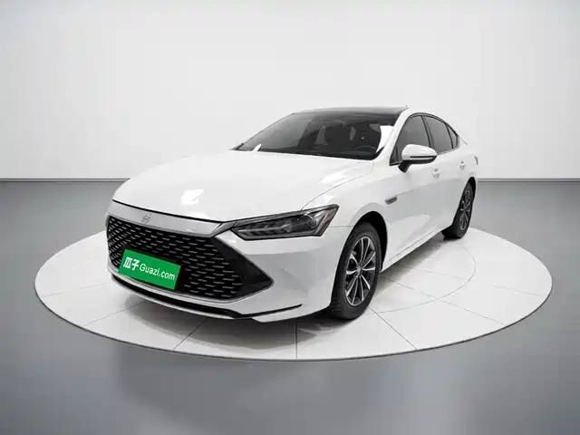 BYD Qin PLUS Чемпион, DM-i 55KM, Лидер
