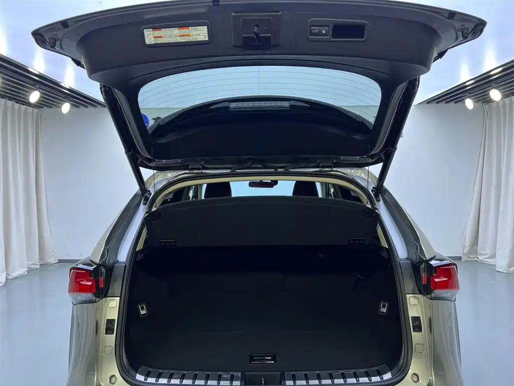 Lexus NX 2018 Model 300 FWD Fengxing Edition фото 27