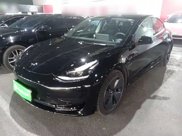 Tesla Model 3 Задний привод