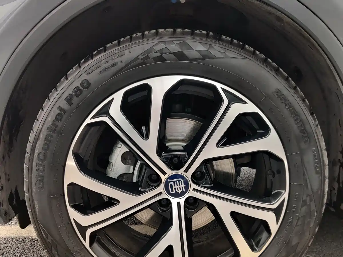 BYD Tang New Energy 2025 Smart Driving Edition DM-i 115KM Flagship фото 2