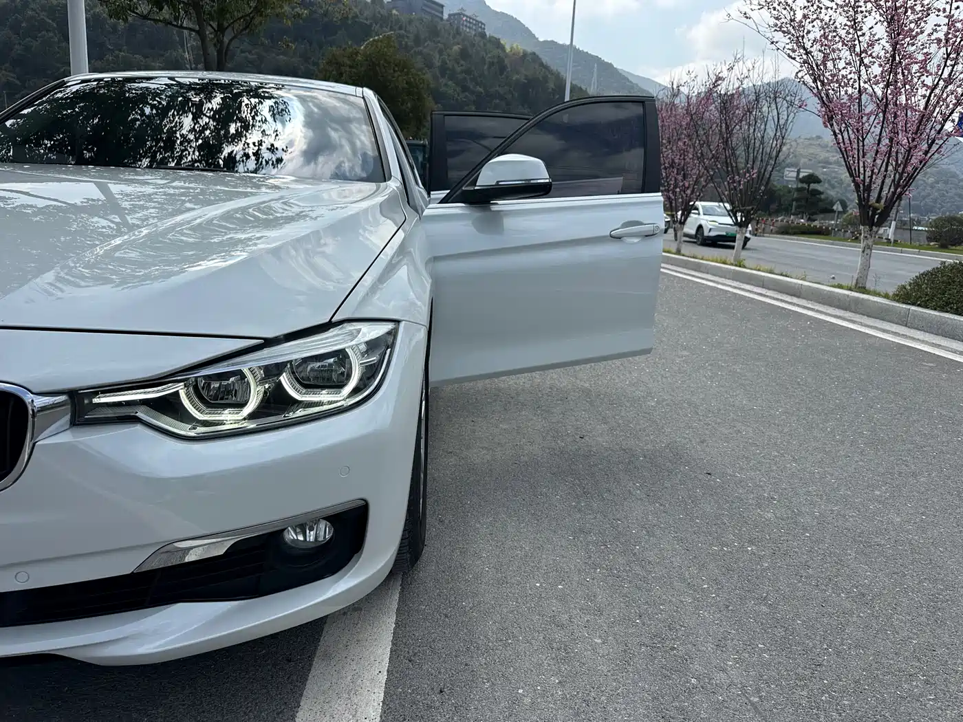 BMW 3 Series 2017 320Li Fashion фото 13
