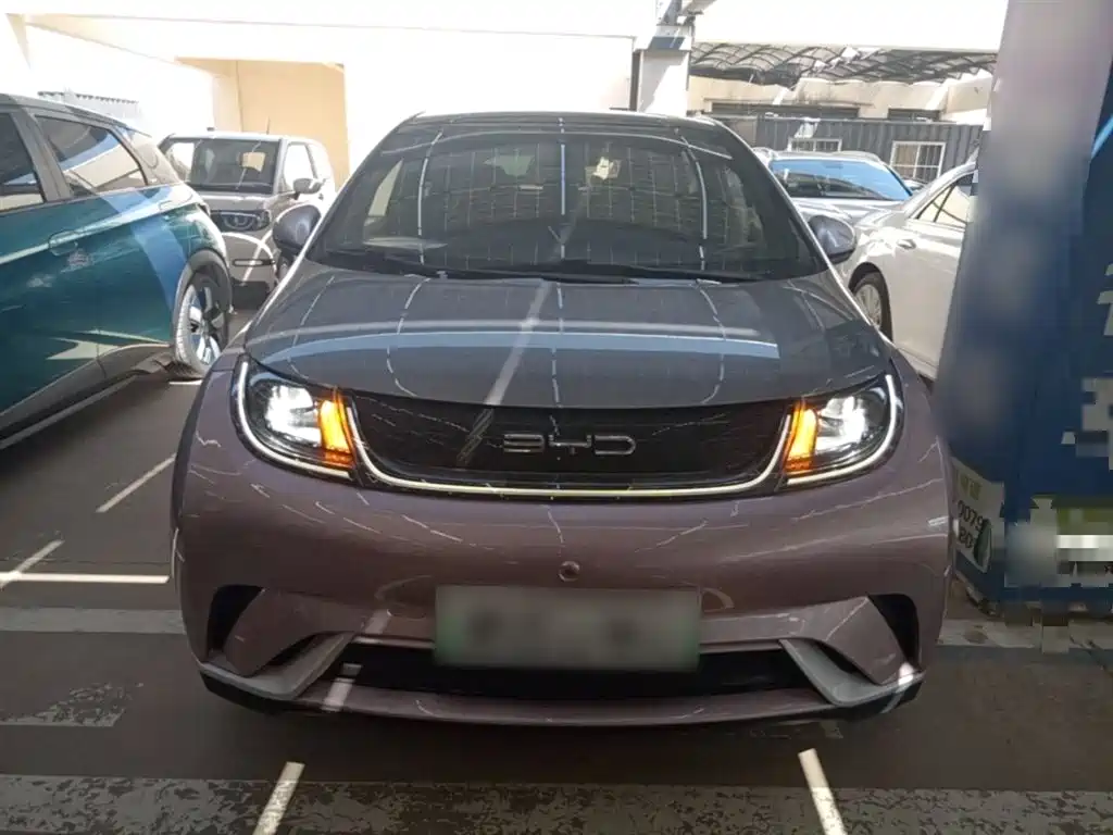 BYD Dolphin 2021 Model 405km Fashion Edition фото 3