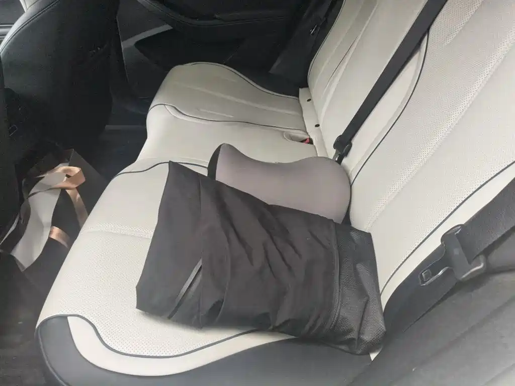 BYD Destroyer 05 2024 Glory Edition DM-i 55KM Luxury фото 14