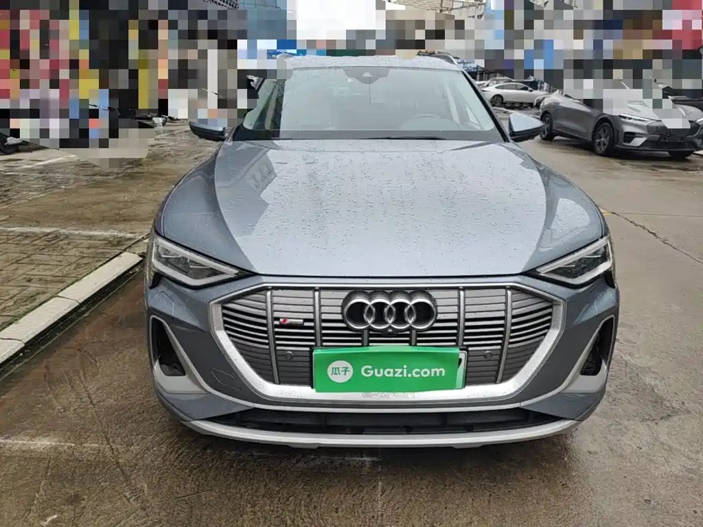 Audi e-tron 2022 2021 50 quattro Exclusive Selection