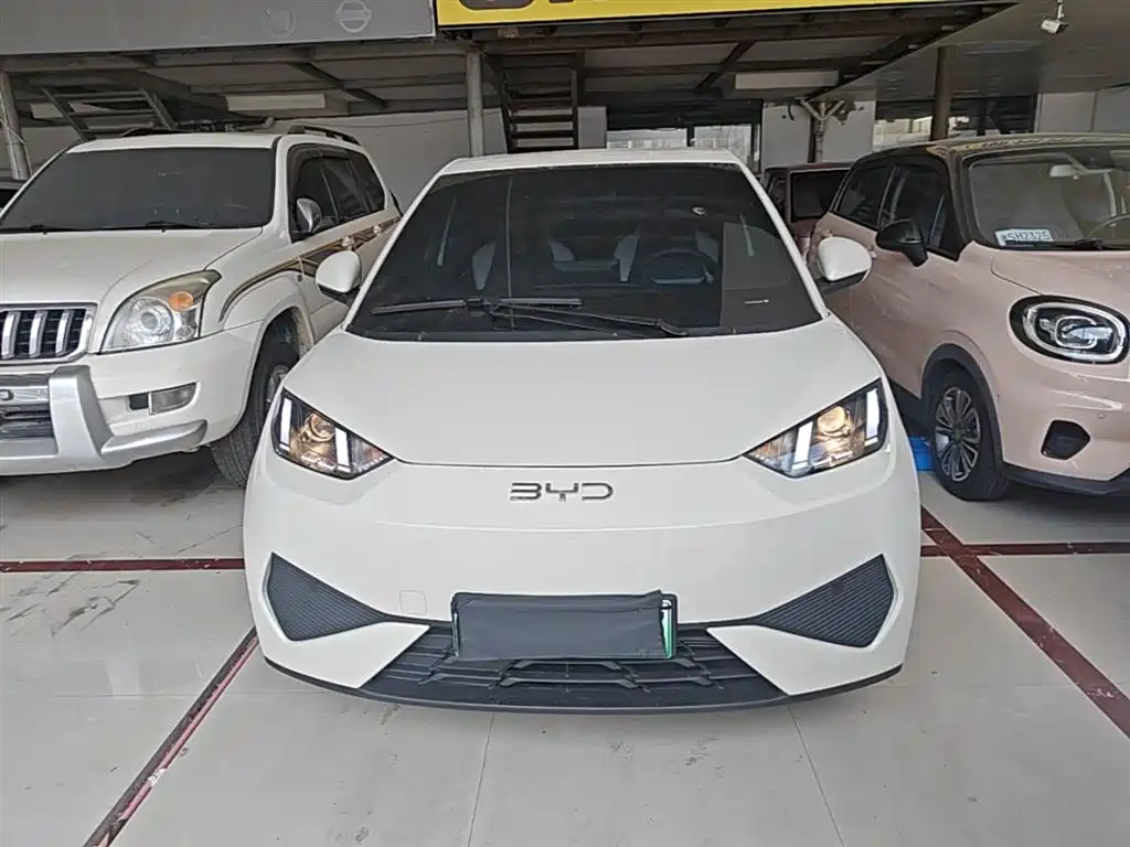 BYD Seagull 2025 Smart Drive Edition 305km Vitality Version фото 3