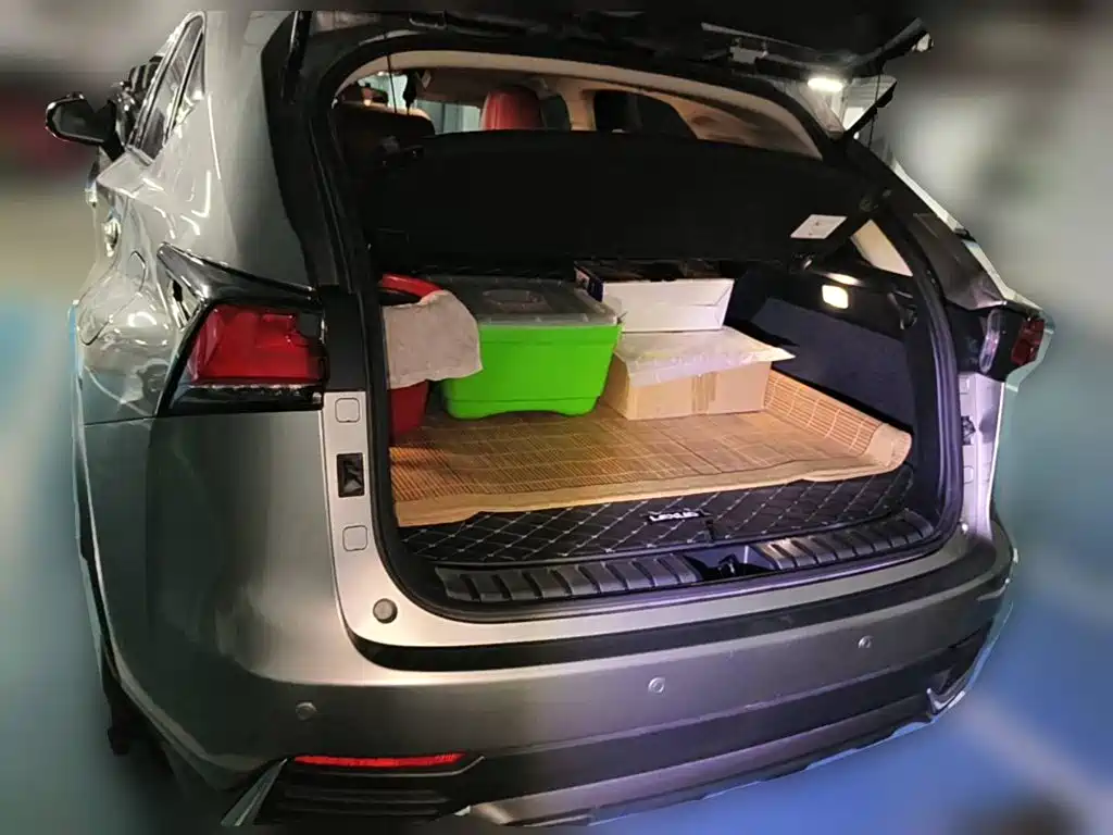 Lexus NX, миниатюра 5