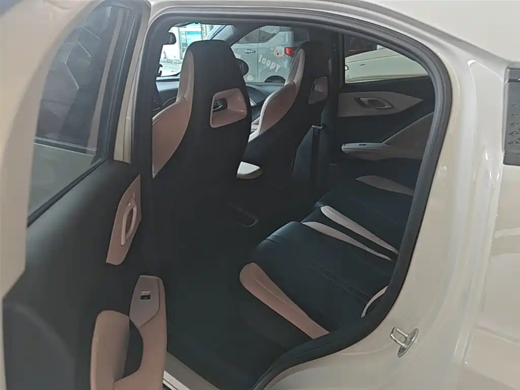 BYD Seagull 2025 Smart Drive Edition 305km Vitality Version фото 17