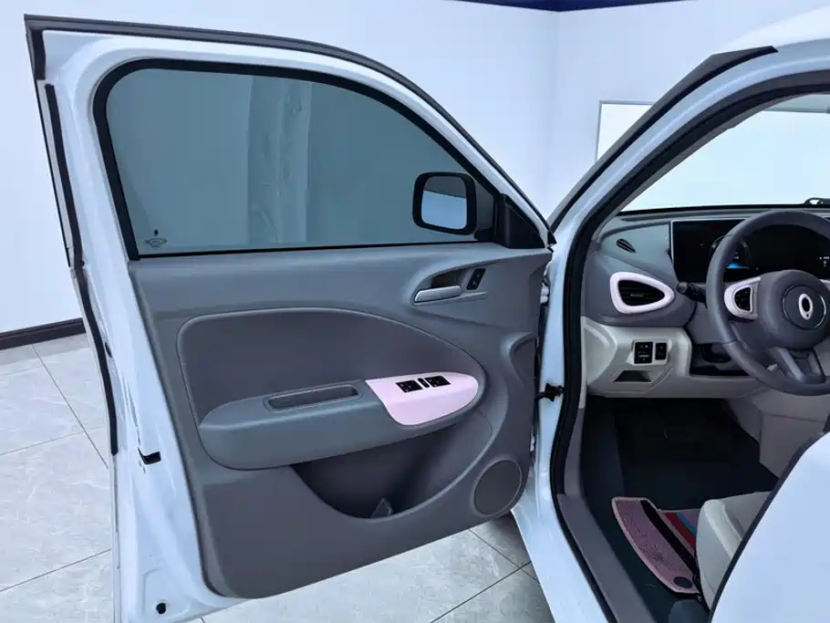 Ora White Cat 2021 2020 305km Luxury
