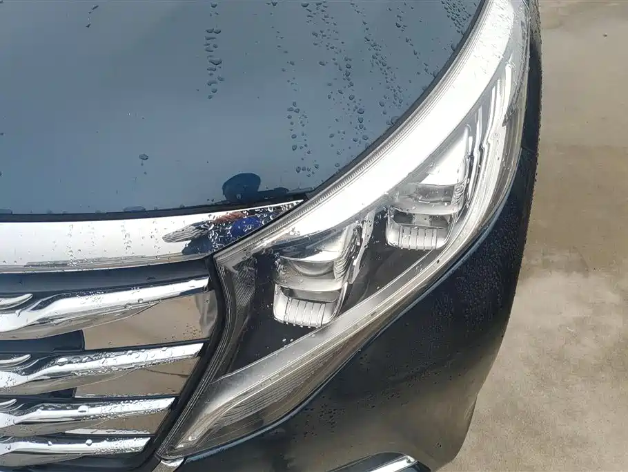 GAC Trumpchi Trumpchi M8 2018 320T Premium Edition фото 5
