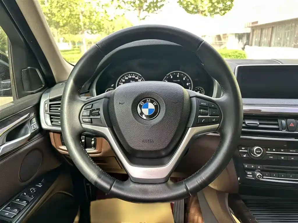 BMW X5 (Import) 2017 xDrive35i Elegance фото 10