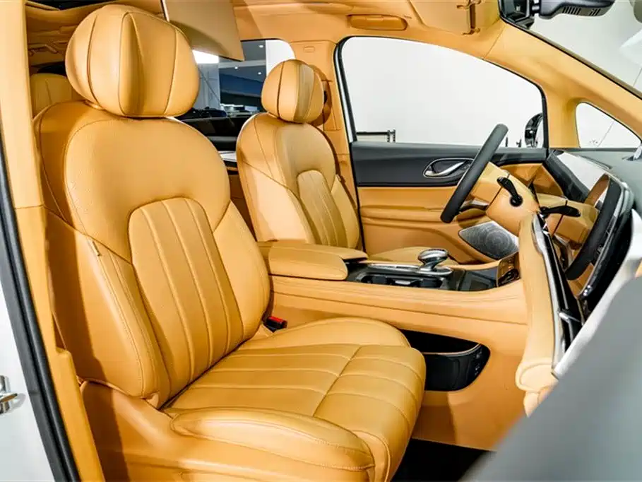 Voyah Auto Voyah Dreamer 2024 PHEV Extended Range Premium Edition фото 23