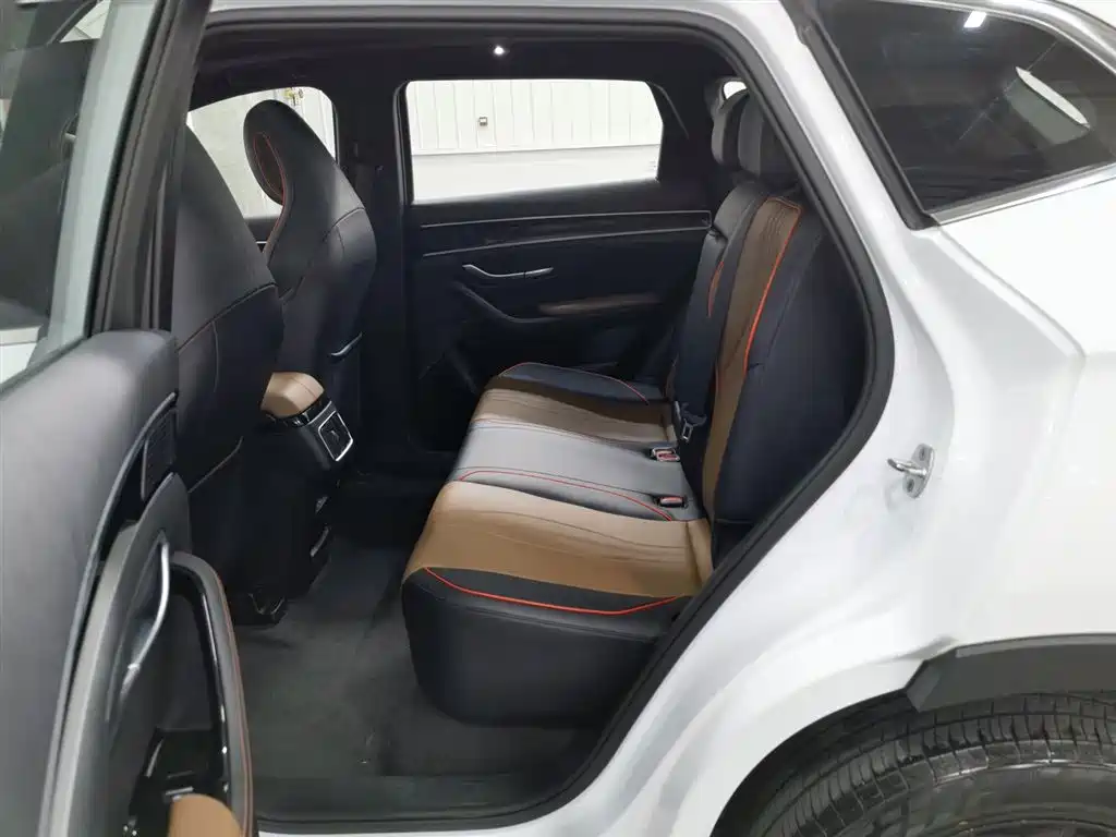 BYD Song PLUS 2020 1.5T Automatic Luxury фото 15