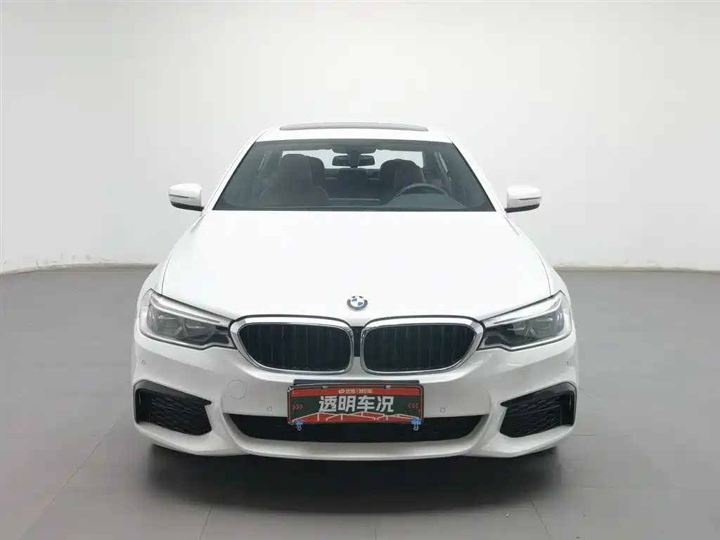 BMW 5 Series 2020 530Li Leading M Sport Package фото 3