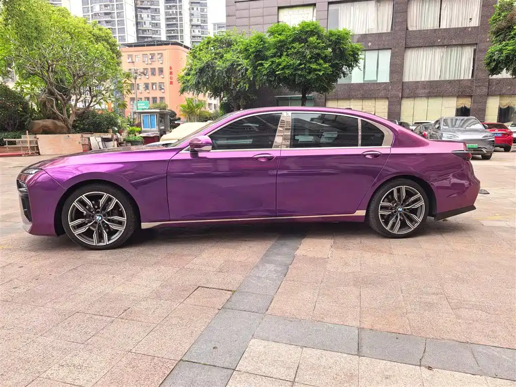 BMW 7 Series 2009 730Li Luxury фото 8