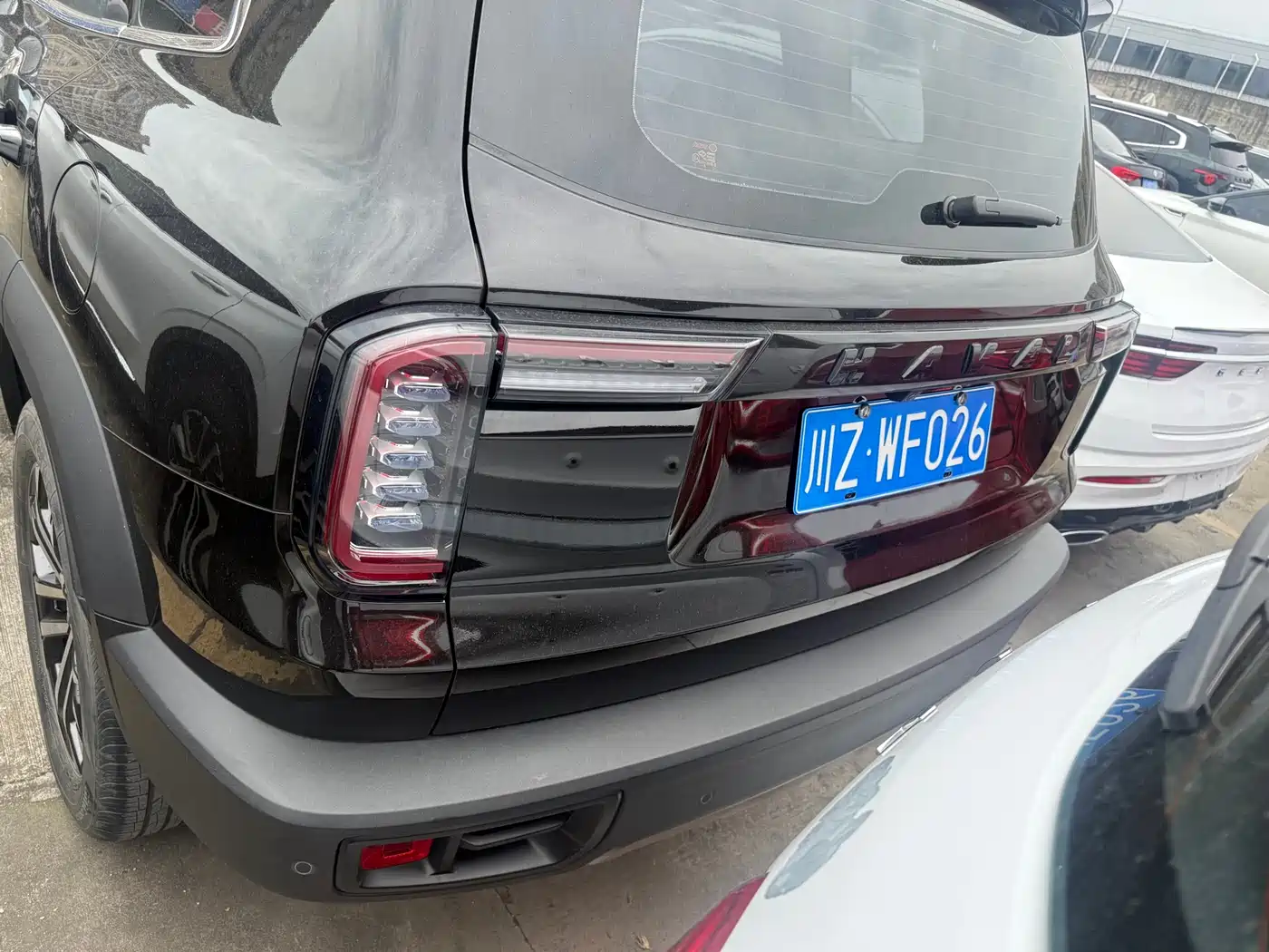 Haval Big Dog 2021 1.5T DCT 2WD Border Collie Edition фото 14