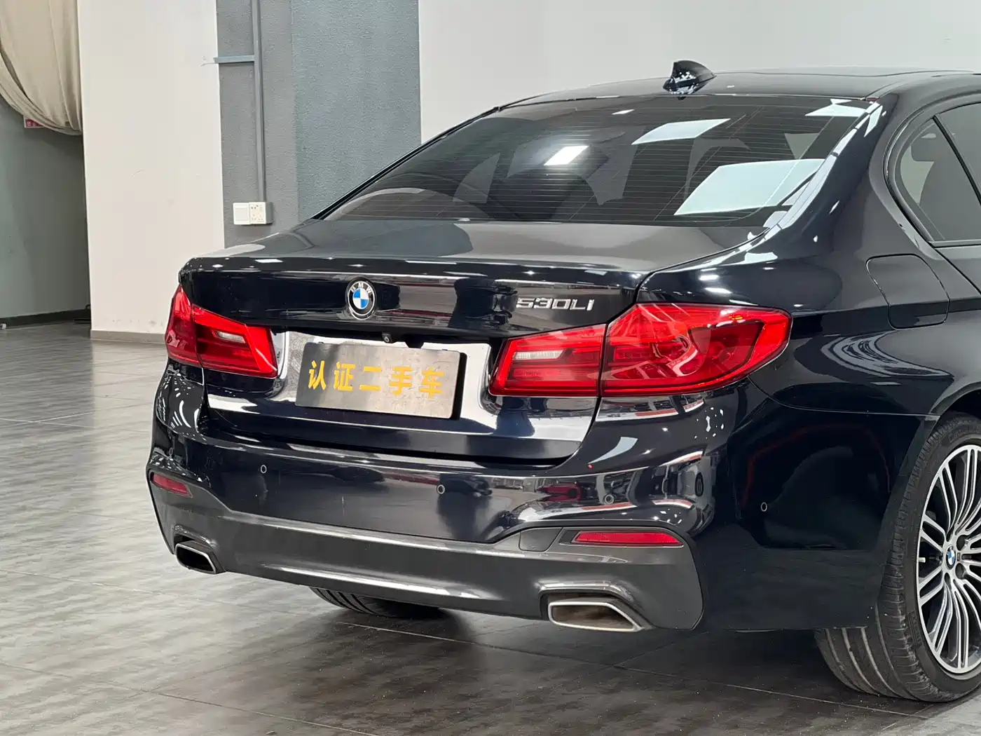 BMW 5 Series 2019 530Li Leading M Sport Package фото 19