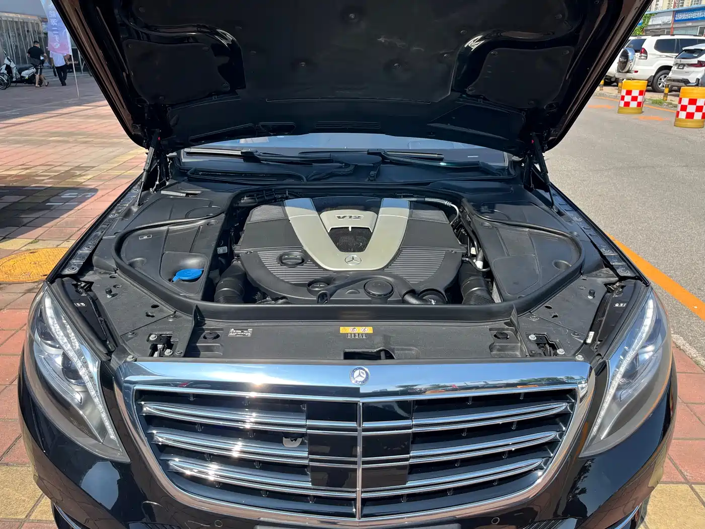 Mercedes-Benz S-Class 2014 S 600 L фото 22