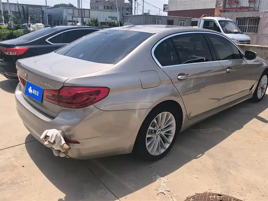 BMW 5 Series New Energy 2020 530Le Luxury Package фото 3