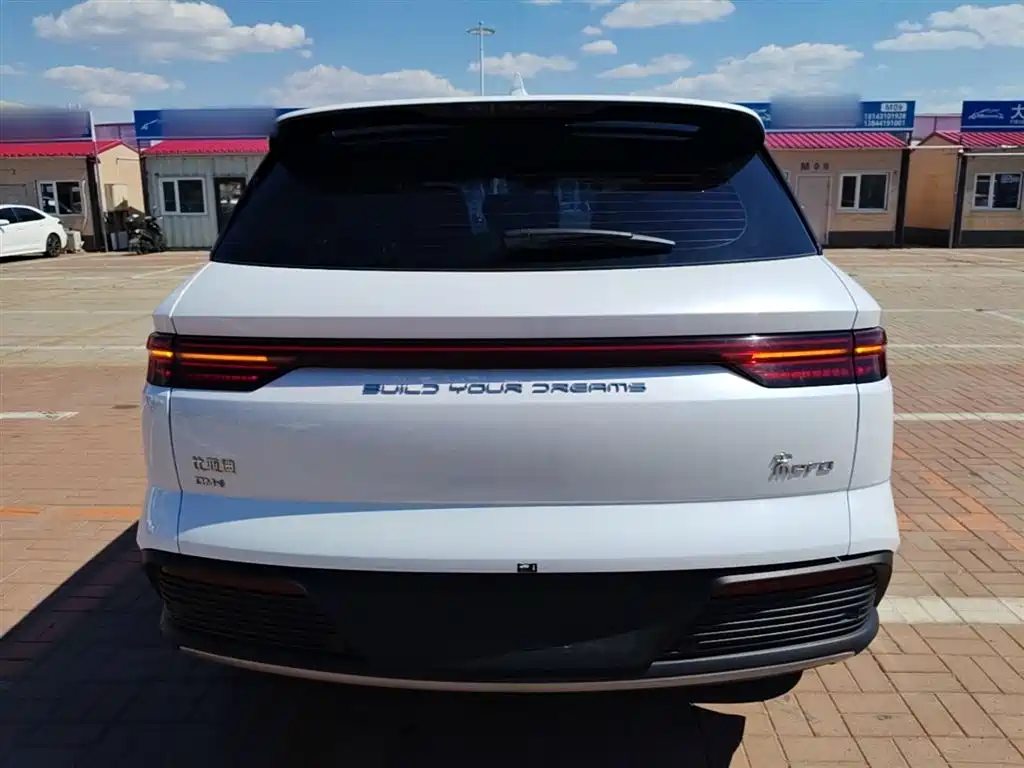 BYD Song Pro New Energy 2024 Glory Edition DM-i 71KM Pilot фото 6