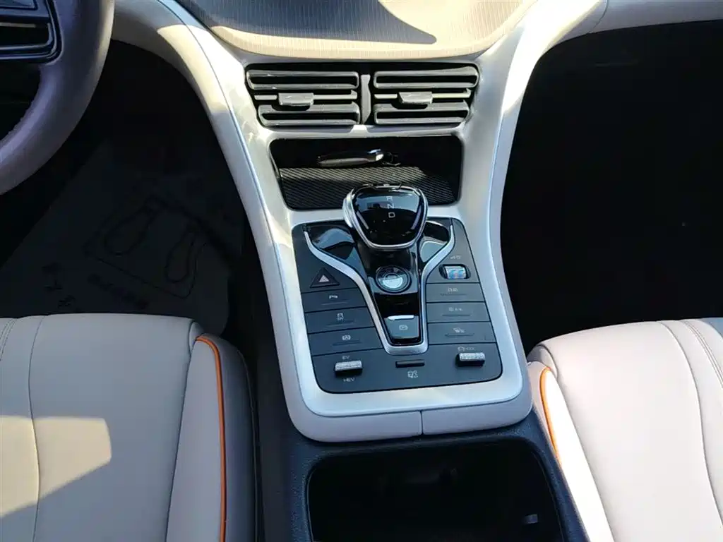 BYD Song Pro New Energy 2024 Glory Edition DM-i 71KM Pilot фото 14