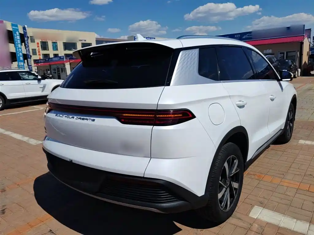 BYD Song Pro New Energy 2024 Glory Edition DM-i 71KM Pilot фото 7