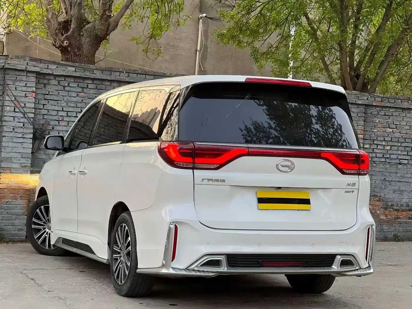 GAC Trumpchi Trumpchi M8 2021 Master Series 390T Prestige Edition фото 7