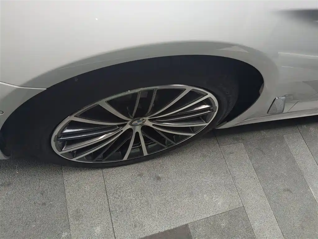 BMW 5 Series 2020 530Li Leading M Sport Package фото 23