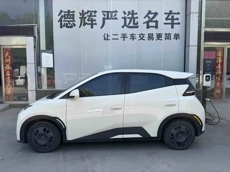 BYD Seagull 2023 Vitality Edition фото 3