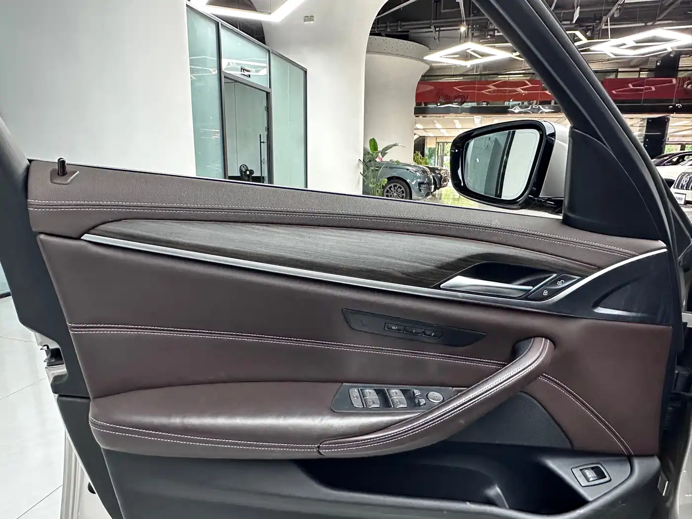 BMW 5 Series 2020 530Li Leading Luxury Package фото 9
