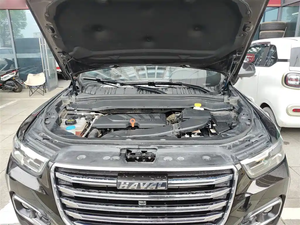 Haval H6 2019 1.5GDIT Auto Luxury Smart Edition China VI фото 16