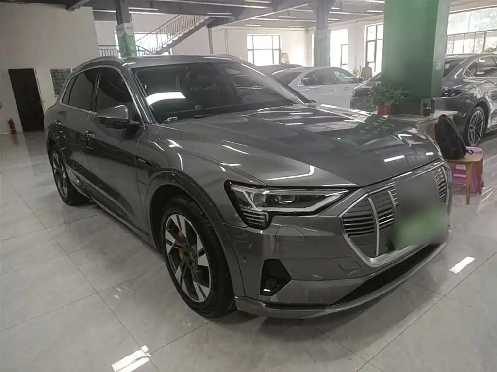 Audi e-tron (Import) 2019 55 quattro Technology фото 4