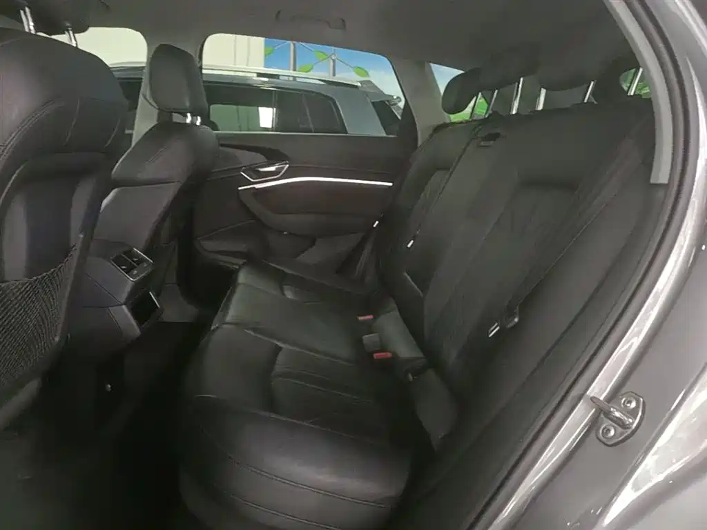 Audi e-tron (Import) 2019 55 quattro Technology фото 17