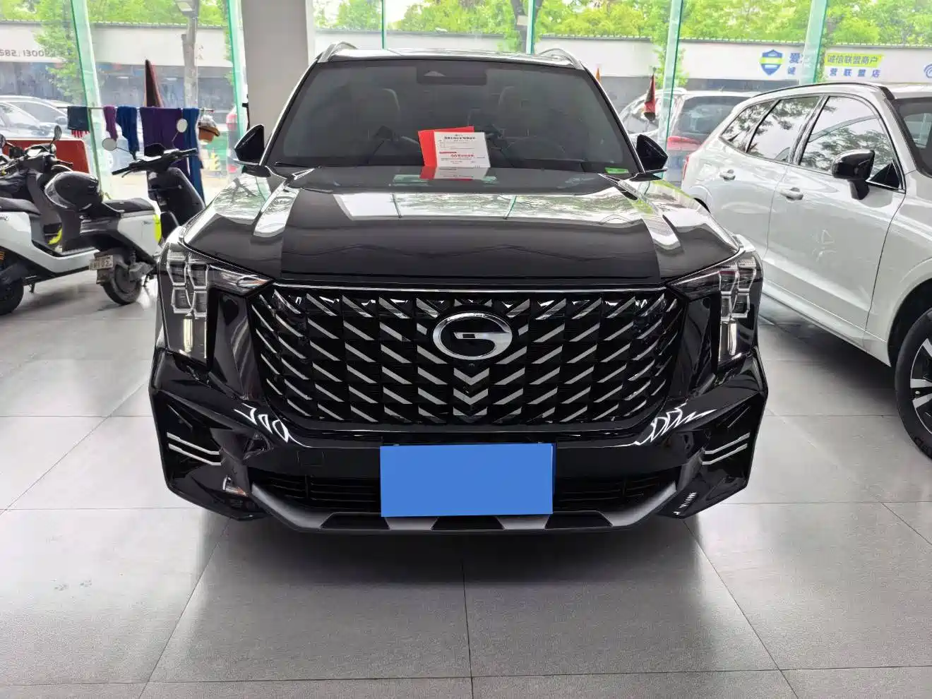 GAC Trumpchi Trumpchi GS8 2025 Pilot Series 2.0TGDI 2WD Luxury Edition 5-seater фото 2