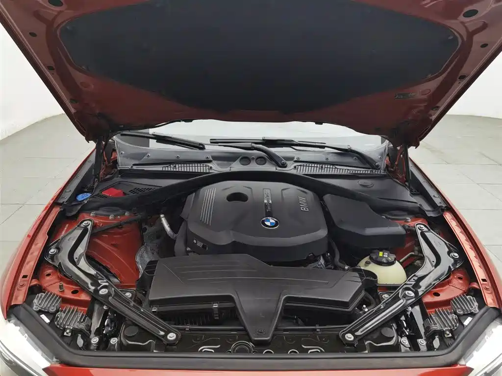 BMW 2 Series (Import) 2015 218i Convertible Coupe фото 6